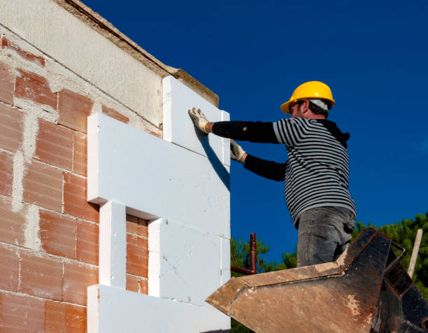 Best Insulation Installation Services in Ripley, TN