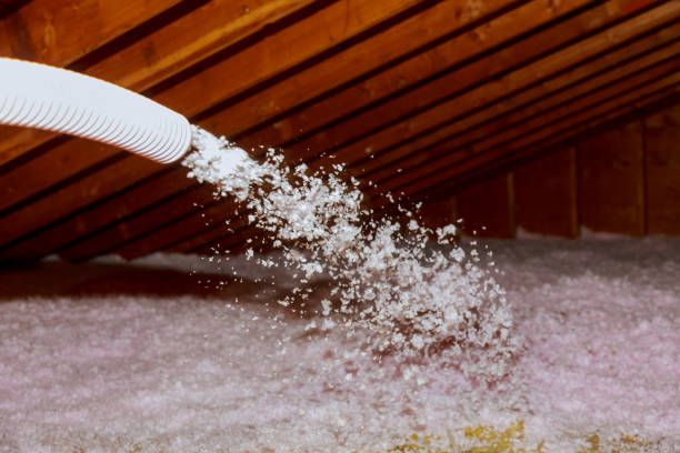 Best Residential Insulation in Ripley, TN