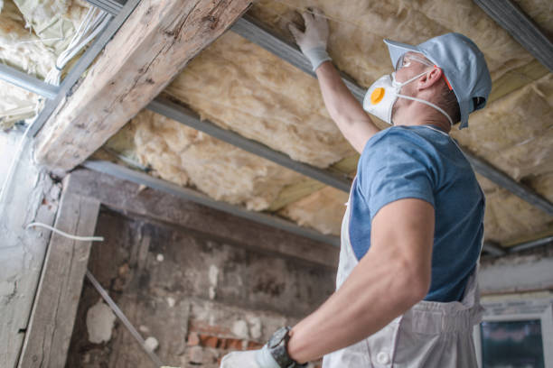 Best Insulation for Specific Applications in Ripley, TN